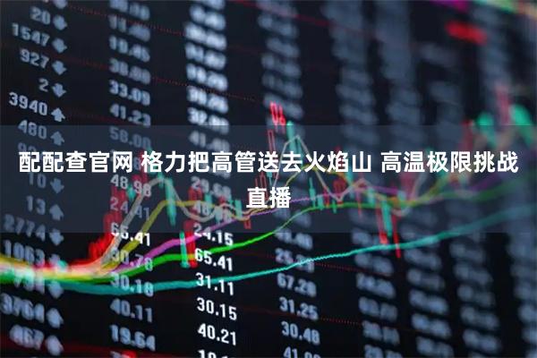 配配查官网 格力把高管送去火焰山 高温极限挑战直播